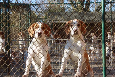 Quadro & Otto